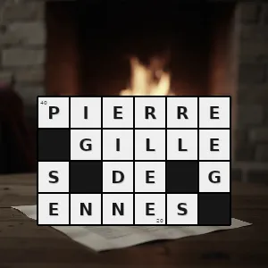 Rozwiązanie krzyżówki: noblista z dziedziny fizyki w roku 1991 - pierre-gilles de gennes | hasła, synonimy i podpowiedzi Hasło krzyżówkowe noblista z dziedziny fizyki w roku 1991 - pierre-gilles de gennes – rozwiązanie, synonimy, podpowiedzi i definicje krzyżówkowe